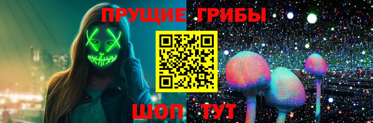 Псилоцибиновые грибы Cubensis  Вход с VPN  Абинск 